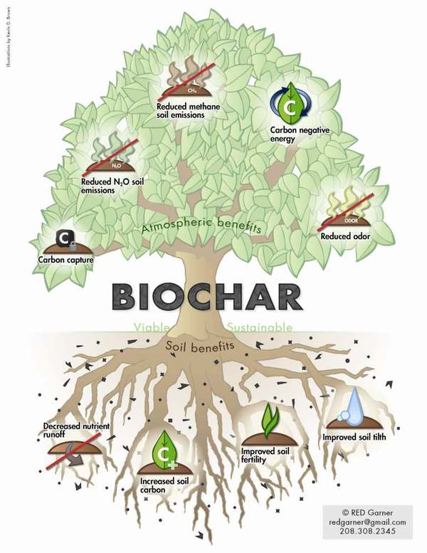biochar CHARTREE2