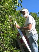 Bill_at_Flower_Farm-135x180.jpg