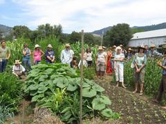 Golden_Rule_group_with_veggies-240x180.jpg