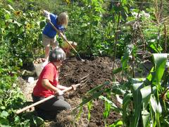 Members_working_in_garden-240x180.jpg